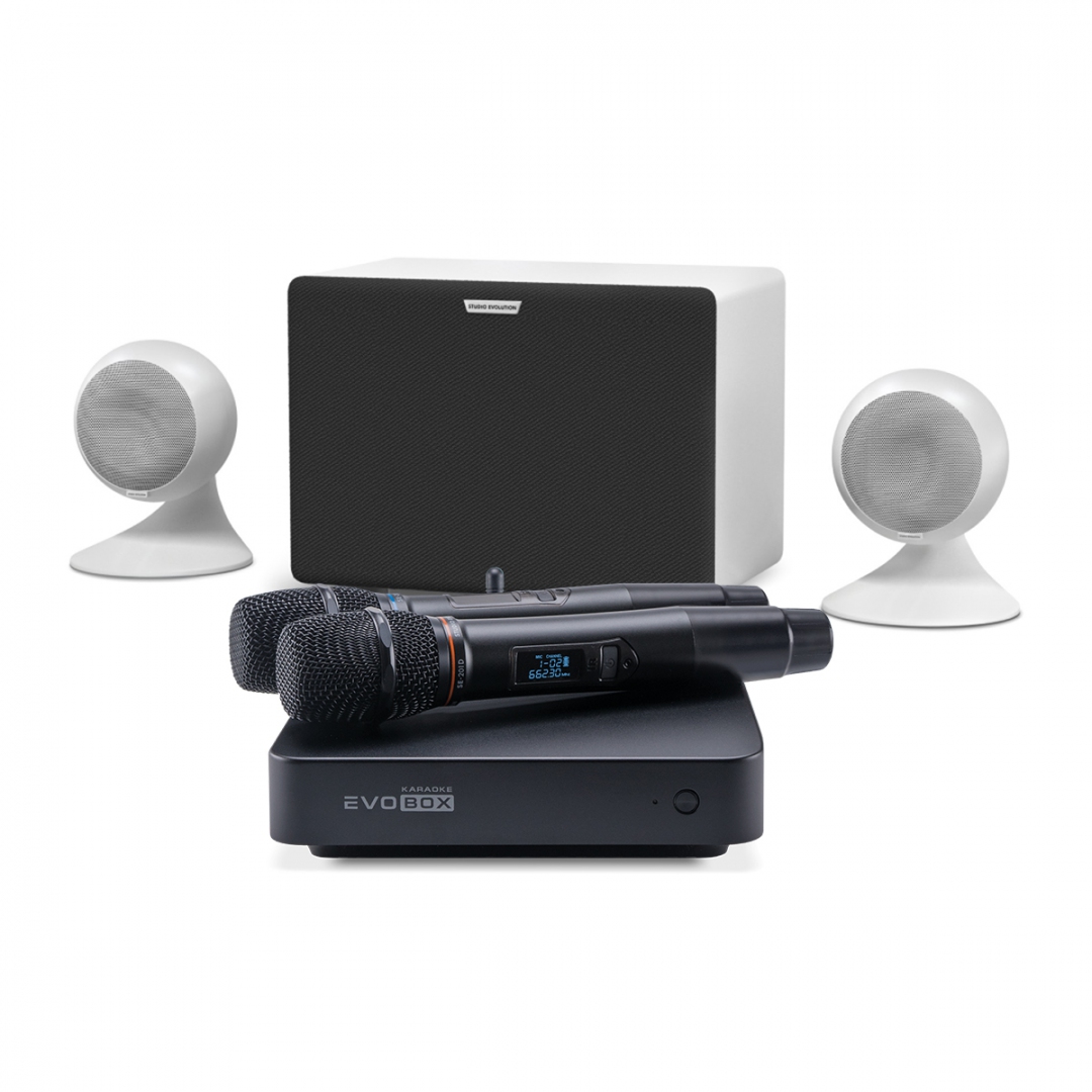 караоке-комплект EVOBOX Classic + EvoSound Sphere 2.1 в Томске