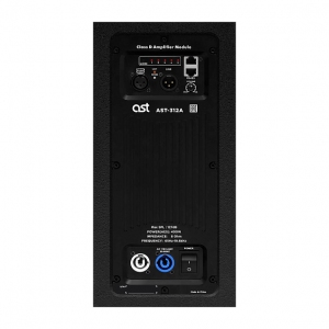 Активная акустическая система AST-312A в Томске
