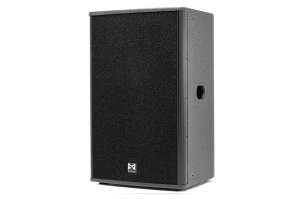 MX LAB DANA 15P активная акустическая система в Томске
